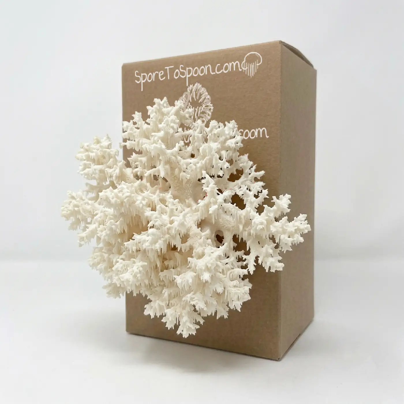 Coral Tooth Grow Kit