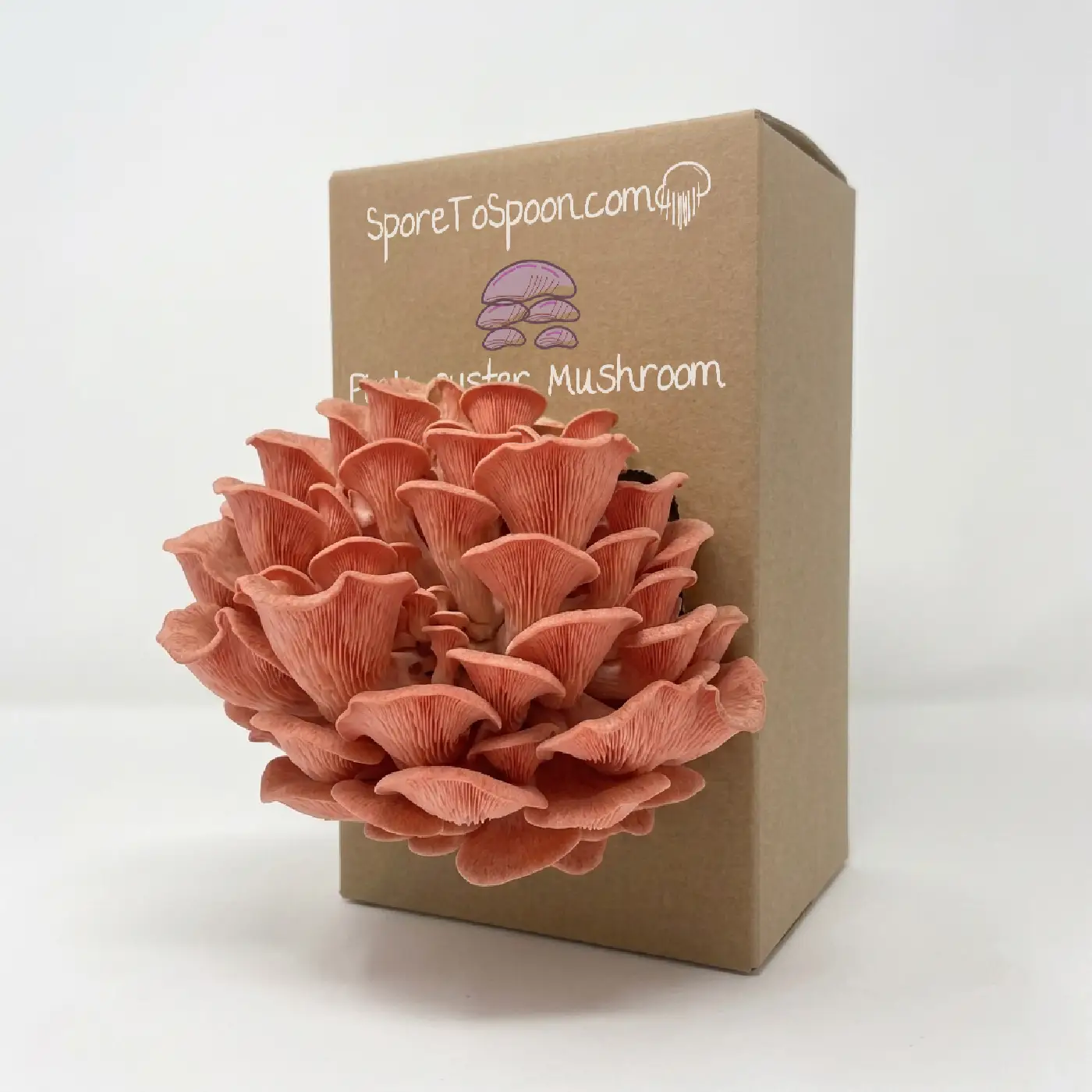 Pink Oyster Grow Kit